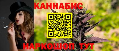 крисы Краснознаменск