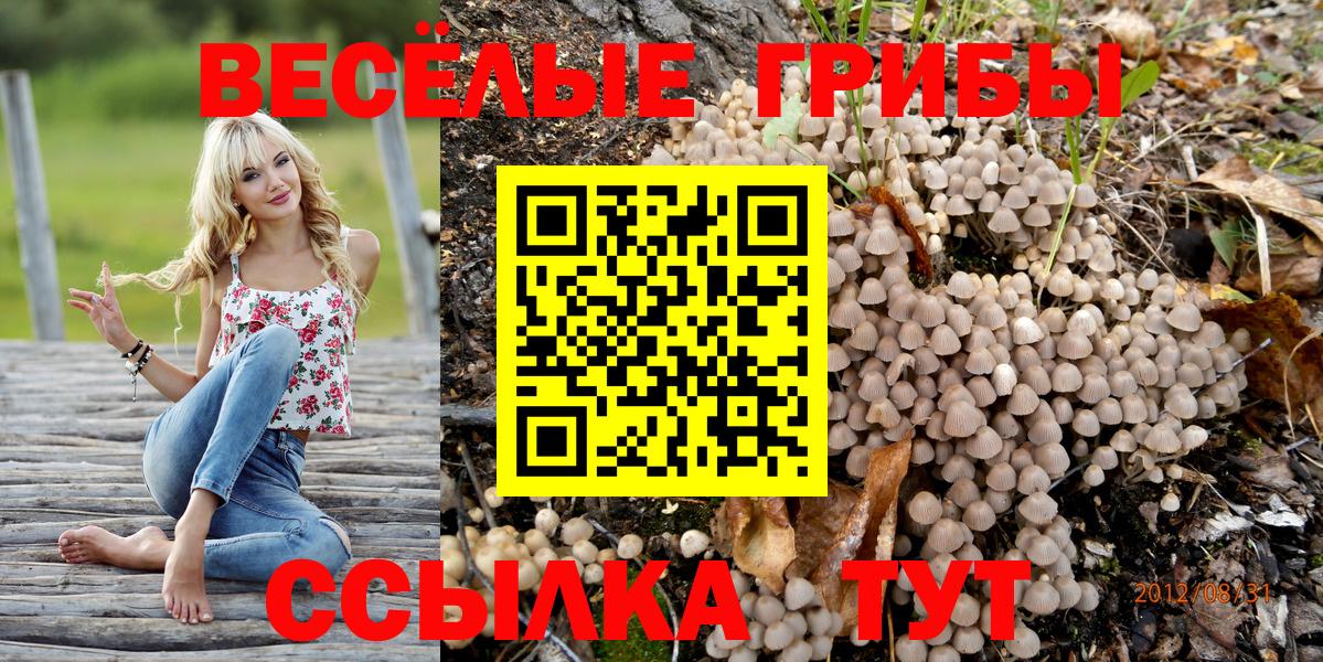 Кириши  Псилоцибиновые грибы MAGIC MUSHROOMS  Псилоцибиновые грибы мицелий  Вход с VPN 